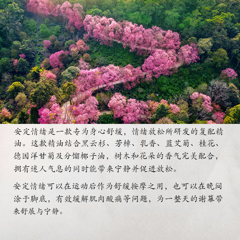 美国多特瑞精油doTERRA官网正品安定情绪精油香薰身体按摩油15ML,淘宝优惠券,粉丝福利购,淘宝优惠卷