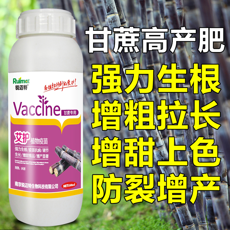 因卡波甘蔗专用叶面肥生根膨大增粗拉长拉直增甜上色拔节抗倒伏 - 图0