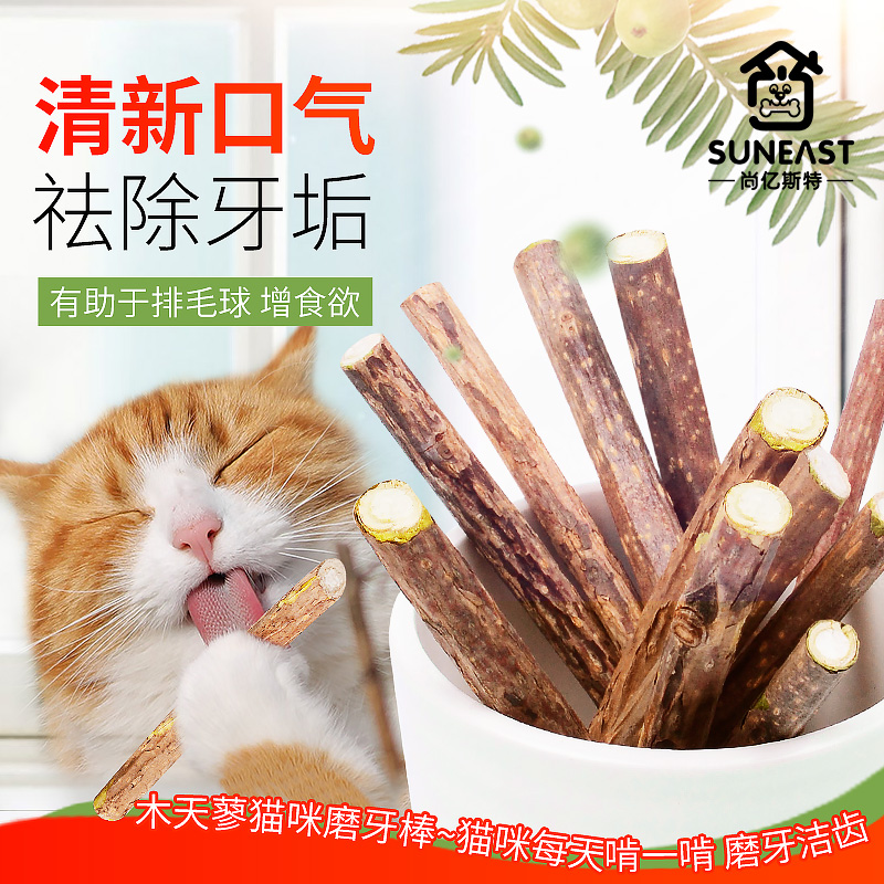 猫咪磨牙棒洁齿棒木天蓼棒逗猫棒幼猫啃咬棒薄荷磨牙棒猫零食用品 - 图1