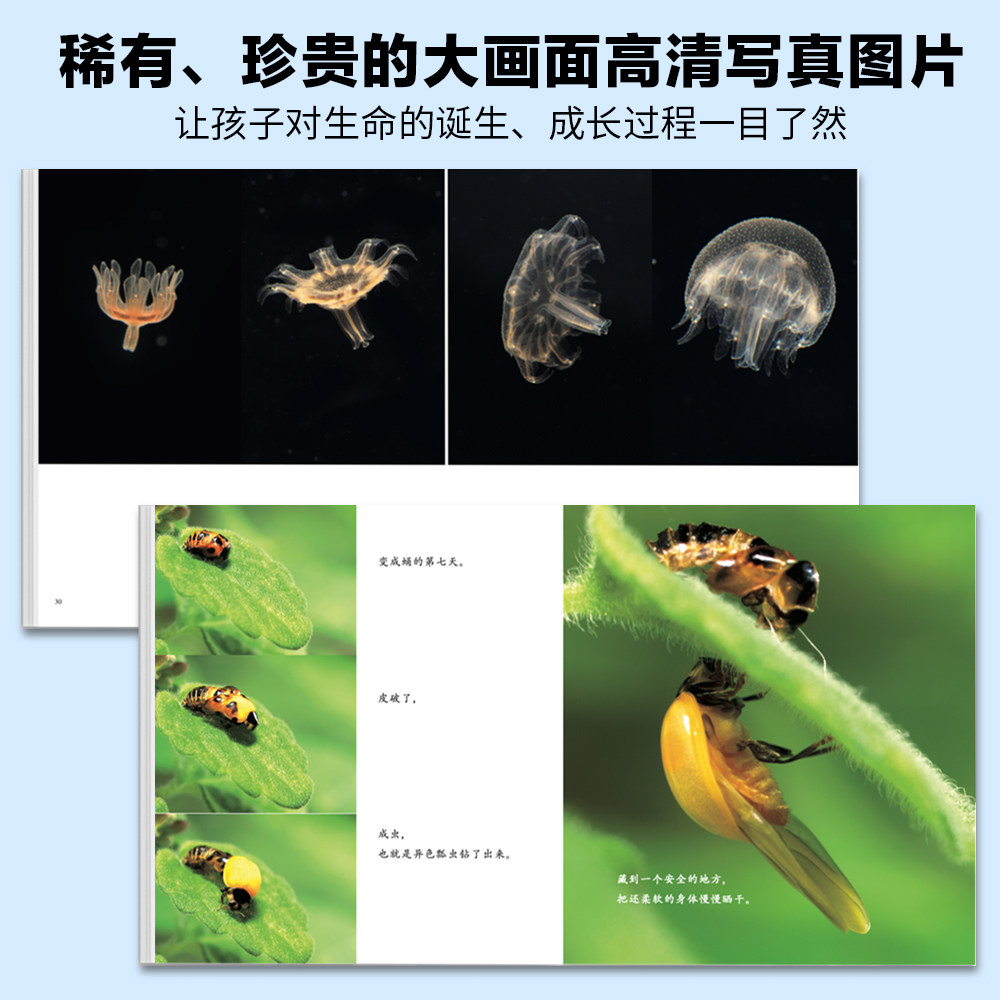 【人民日报推荐】生命的故事 3-6-8岁 礼盒装 儿童少儿昆虫科普百科全书动物世界 生命简史幼儿园儿童图书写真集 获奖经典绘本