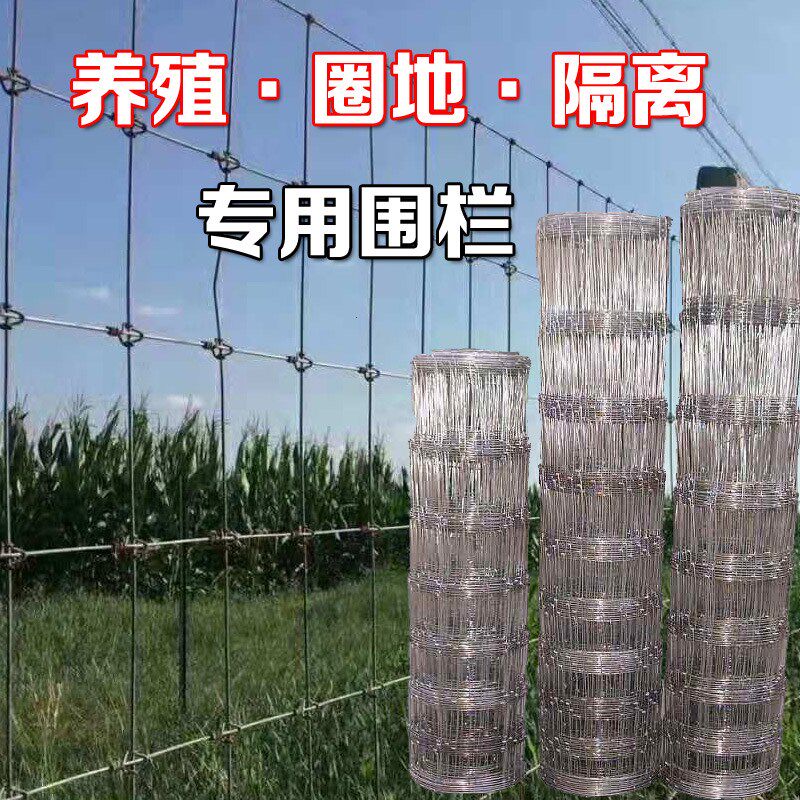  迪璐丹护栏/隔离栏