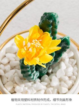 simulationpedrcvfakw