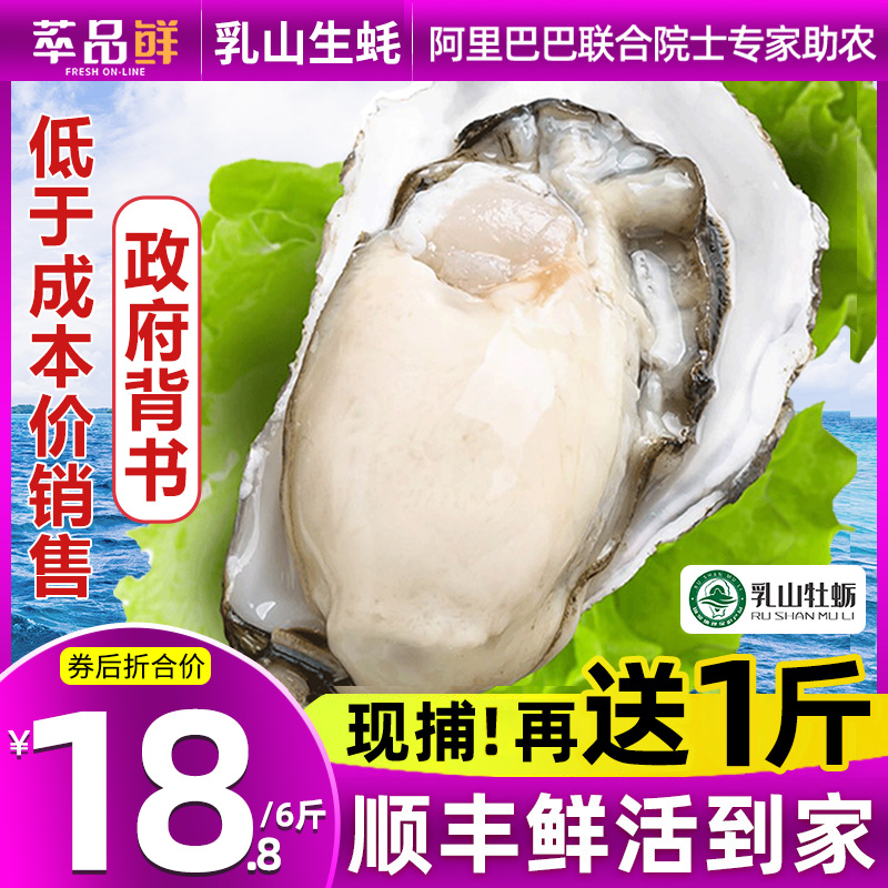 乳山生蚝鲜活10斤新鲜海蛎子5斤特大海鲜牡蛎贝壳即食水产批发1箱