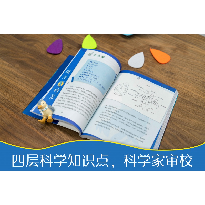 神奇图书馆第二季:海洋X计划(全4册) 王凯 凯叔讲故事 7-10岁 专为孩子创作的科普故事 儿童文学 果麦图书