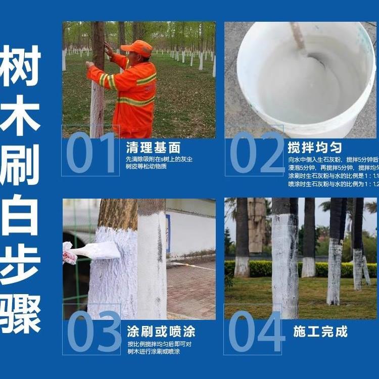 生石灰粉杀虫种菜菌消毒防潮除湿农家用改良土壤水质树木白干燥剂 - 图1