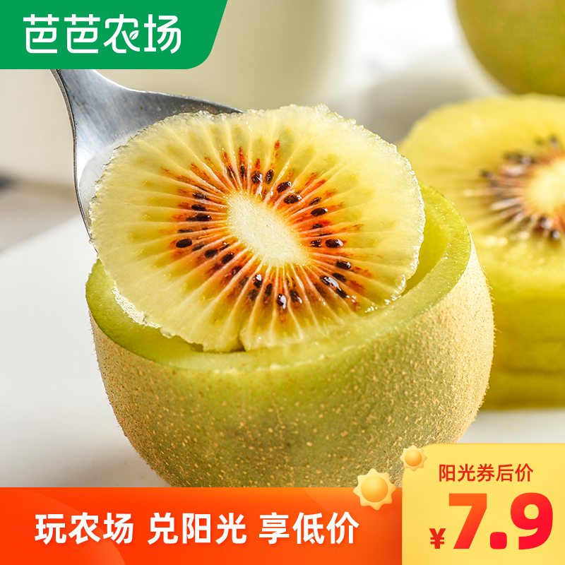 文大爷旗舰店现摘四川当季红心猕猴桃应季奇异果弥猴桃泥猴桃批发时令新鲜水果0