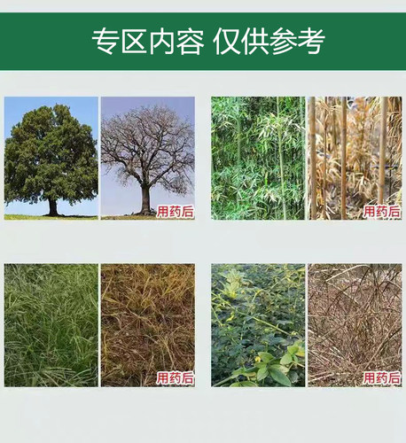 环嗪酮除杂草环泰铜杀竹子剂除树死根剂灭竹子环嗪哃杂竹净颗粒剂 - 图1