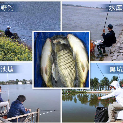 野钓老三样鱼饵料野战蓝鲫九一八速攻2号老鬼918鲫鱼螺鲤冬季套装 - 图2