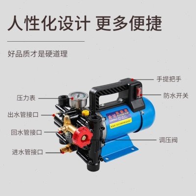 手提式打药机农用电动果树喷雾器12V48V60V220伏高压双缸柱塞药泵