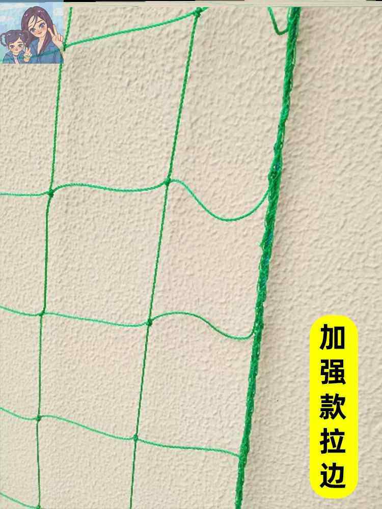 新疆西藏包邮月季爬墙网格植物爬藤网格种植网庭院园艺爬藤网藤类 - 图1