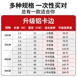 Четырех -летние магазины в магазинах более 20 цветов уход