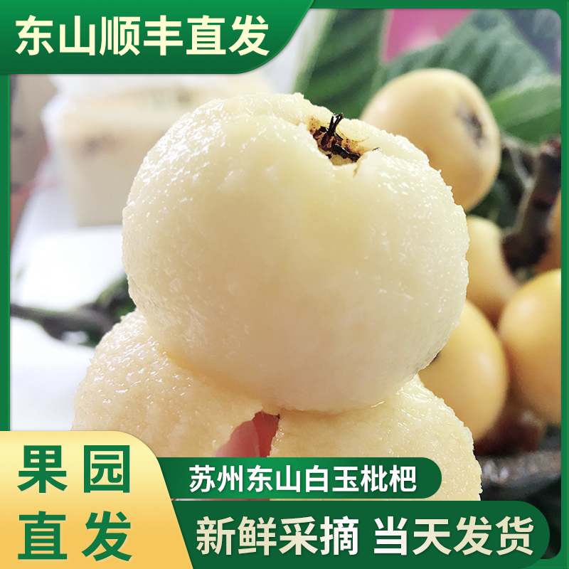 盎意果园旗舰店苏州东山新鲜水果白玉白沙枇杷果5斤礼盒装非塘栖西山琵琶包邮0