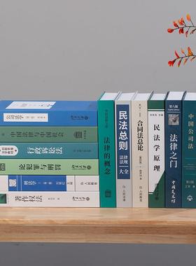 现代法律假书仿真书摆件律师事务所办公室装饰品道具书模型盒子