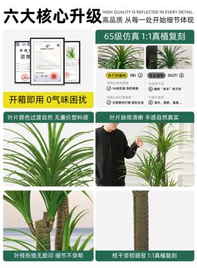彷真绿植龙血树室内客厅电视柜装饰摆件轻奢落地盆栽高级彷生植物