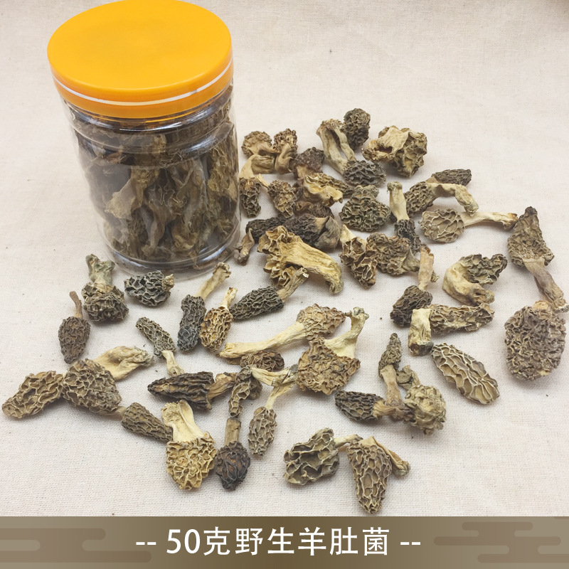 野生羊肚菌干货精选鼓城山深山纯天然羊蘑菇500g比西藏云南更好-图2