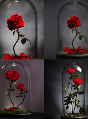 永生花玻璃罩家居防尘配黑色底座装饰摆件透明吹制玻璃展示罩