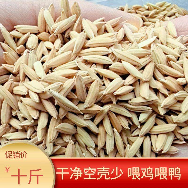 10斤装水稻谷子带壳喂鸡鸭鹅鸽子宠物饲料五谷杂粮20/50/100斤,淘宝优惠券,粉丝福利购,淘宝优惠卷