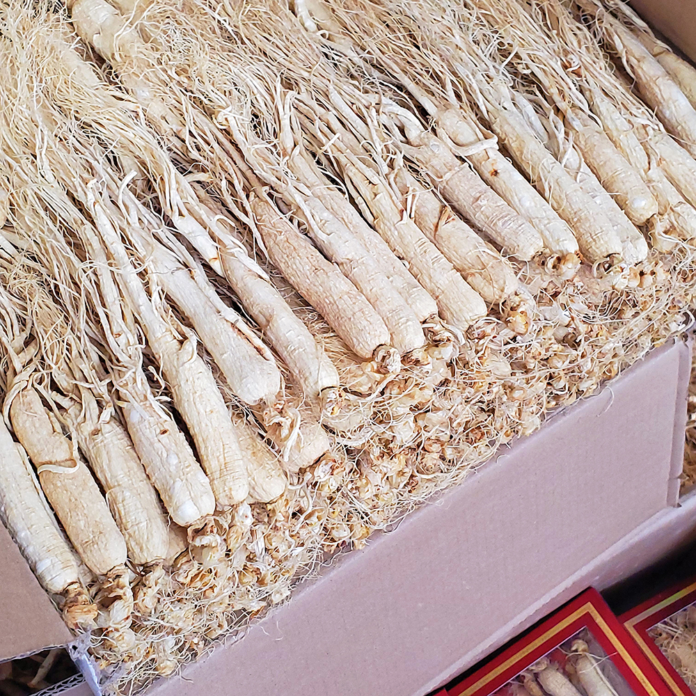 【特大8年】长白山野山参东北干人参 御品泰人参/园参及其制品