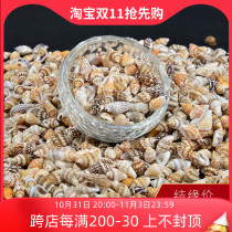 Buddha statue Buddha tavern for Manza tray Hide Supplies Seven Precious Stones Natural Small Shells 2 8 Yuan 1 Two