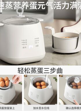 智能煮蛋器家用小型多功
