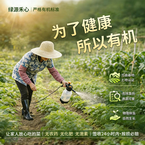 有机西兰花新鲜摘西蓝花绿花菜青花椰菜沙拉轻食营养辅食健康蔬菜 - 图0