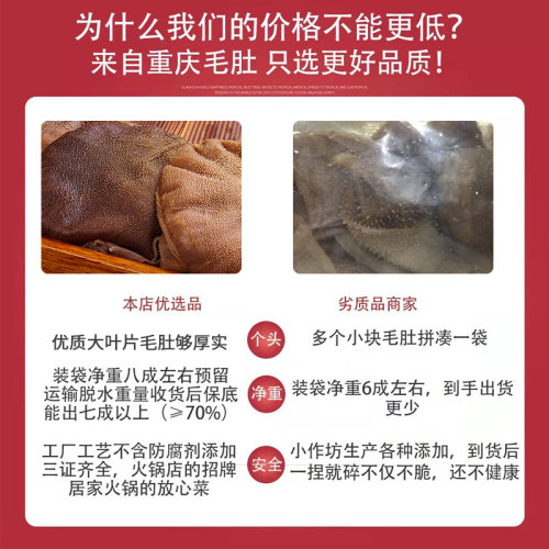 【掌柜推荐】毛肚5斤大叶片爽脆百叶火锅新鲜冷冻牛毛肚商用批发 - 图0