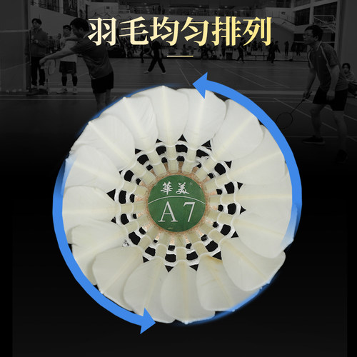 华美A7A1羽毛球全圆耐打不易烂室内外学生球馆专业训练比赛稳定 - 图1