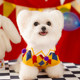 Autumn and winter dog clothes crazy circus cross-dressing checkerboard knitted sweater small dog teddy pet clothing