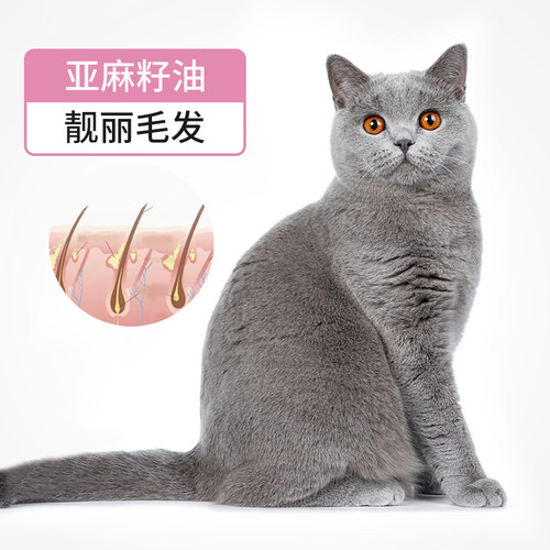 宠道夫英短猫专用猫粮成猫幼猫全价天然粮室内蓝猫2kg营养食品4斤 - 图2