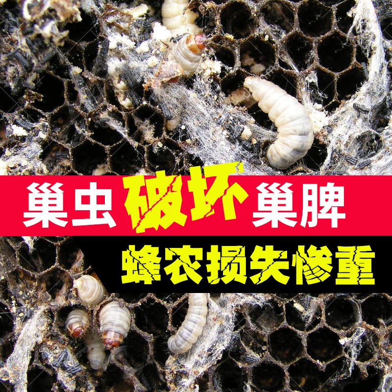 【官方正品】巢虫清木片中蜂蜂箱巢虫净白头蛹蜜蜂蜂药治棉虫10片