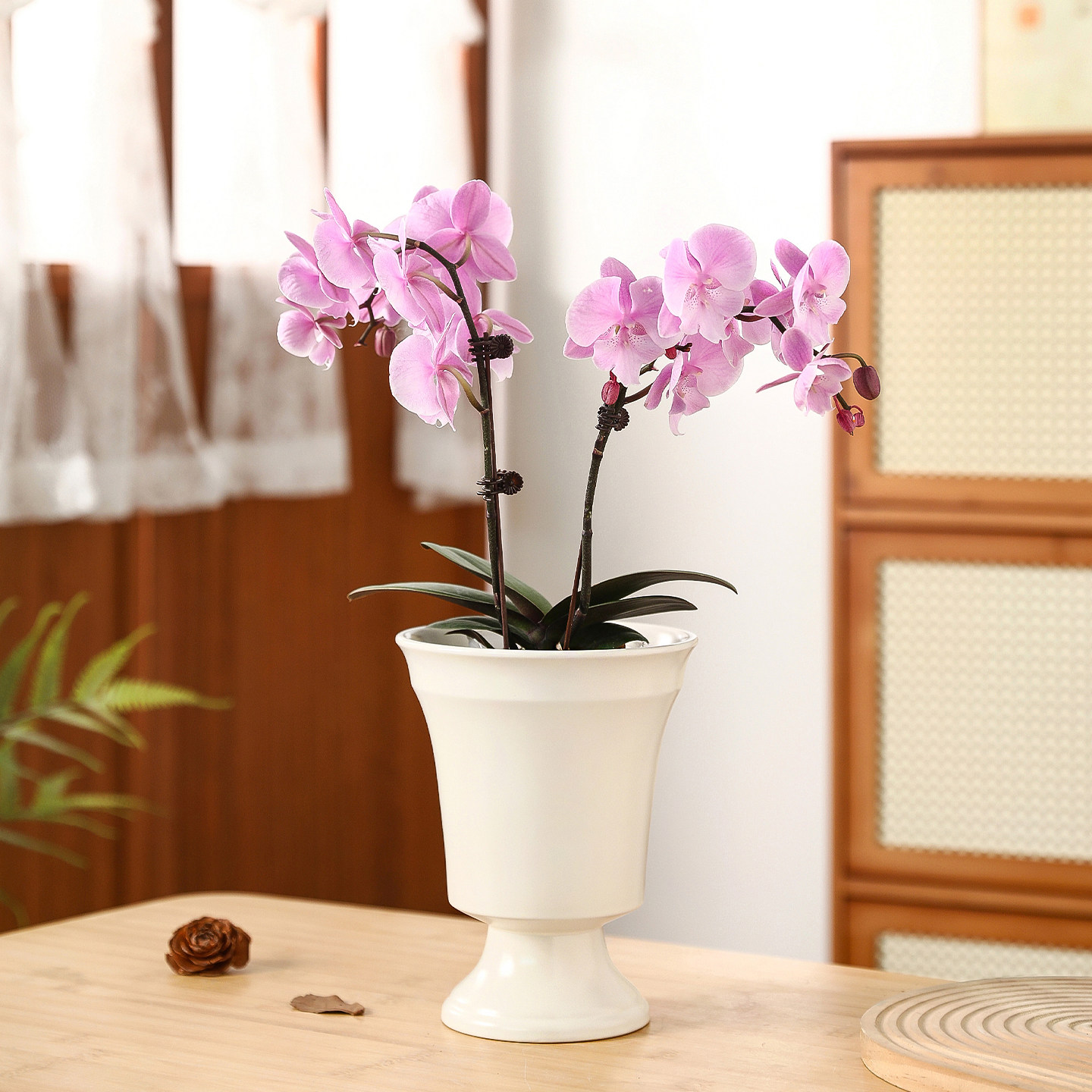 复古高脚陶瓷花盆欧式高级感家用室内软装摆件蝴蝶兰专用花卉套盆,淘宝优惠券,粉丝福利购,淘宝优惠卷