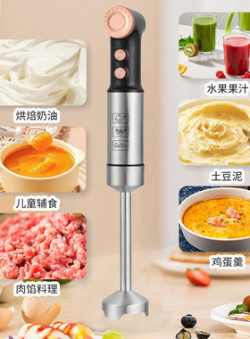 跨境欧规不锈钢料理棒  小型手持搅拌机绞肉器打蛋捣蒜辅食料理器