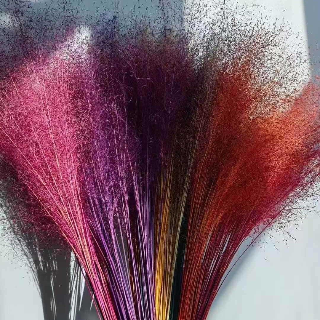 ins粉黛干花100支网红粉黛乱子草婚礼背景家居装饰摆件雾状花束,淘宝优惠券,粉丝福利购,淘宝优惠卷