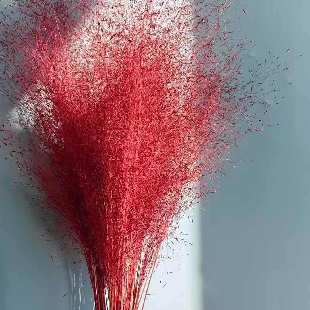 ins粉黛干花100支网红粉黛乱子草婚礼背景家居装饰摆件雾状花束,淘宝优惠券,粉丝福利购,淘宝优惠卷