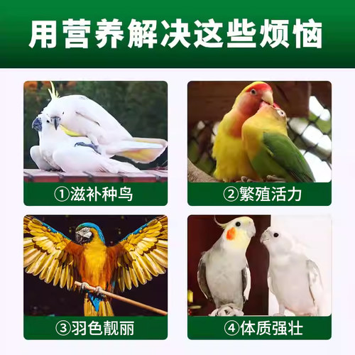 鹦鹉鸟用多效繁殖油促进种鸟芦丁鸡种鸽交配生育酚营养保健品非药 - 图1
