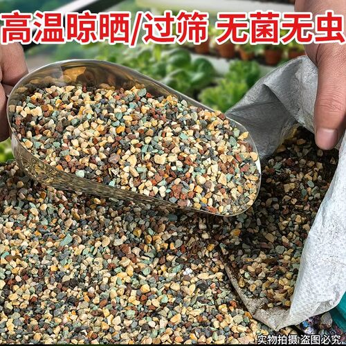 多肉专用颗粒土仙人球专用多肉颗粒土70营养土多肉植物花土铺面石 - 图3