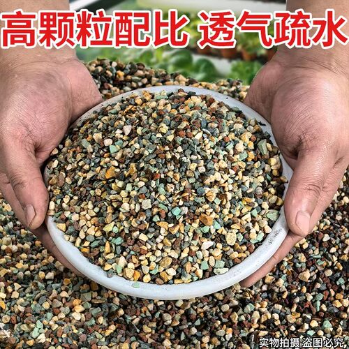 多肉专用颗粒土仙人球专用多肉颗粒土70营养土多肉植物花土铺面石 - 图1