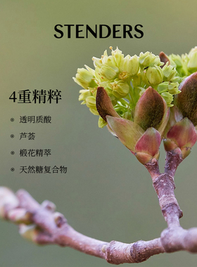 施丹兰菩提花啫喱霜滋养保湿