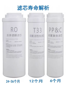 适用于龙巍美大浩泽净水器滤芯前置复合后置活性炭新飞净水器507A