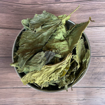 Mulberry leaf Chinese herbal medicine mulberry leaf dried 500g dry mulberry leaf sunburn water to drink cream after frosting and frost mulberry leaf tea bulk new
