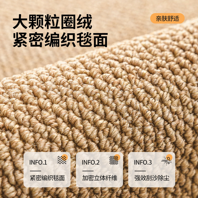 Entrance door floor mat, stain-resistant, no-wash living room carpet