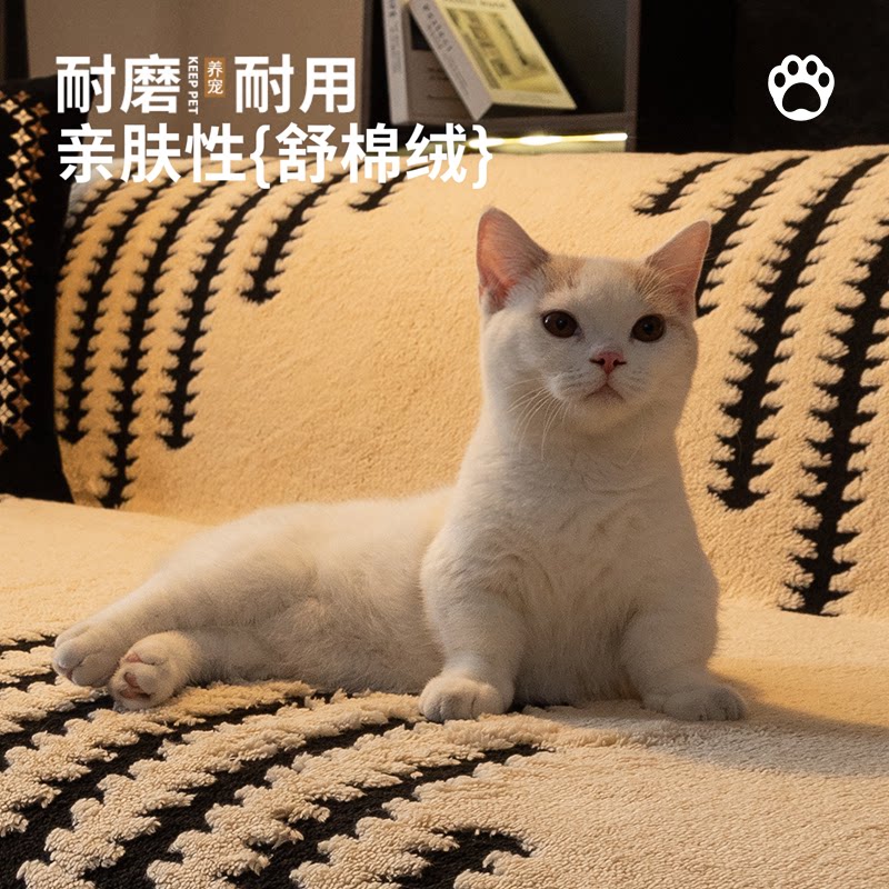 一整张全盖沙发盖巾2026新款耐磨防滑坐垫秋冬季毛绒套罩沙发毯子