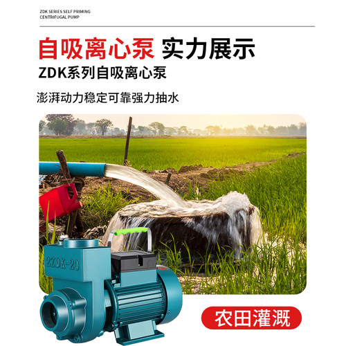 污水泥浆农用大流量自吸泵离心泵抽水机抽水泵220V家用化粪池清水 - 图2