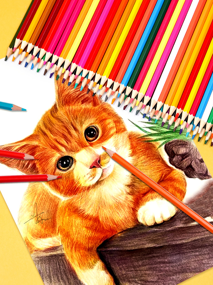 Oil colored pencil students draw 48 color pencils by hand - 图1
