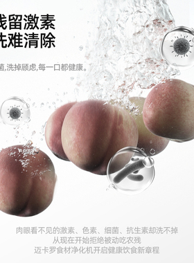 迈卡罗双仓果蔬清洗机除菌除农残