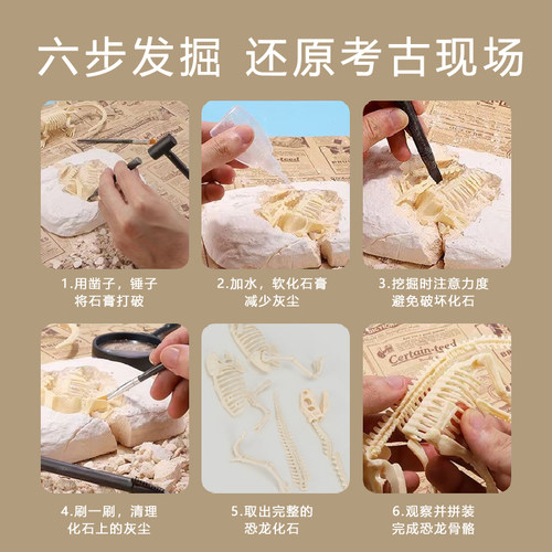 恐龙骨架化石考古挖掘玩具二年级下册儿童套装石膏拼装霸王龙模型 - 图1