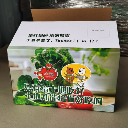 上海安食尚农场自产蔬菜宅配组合新鲜无激素产妇孕妇婴幼儿食用 - 图2