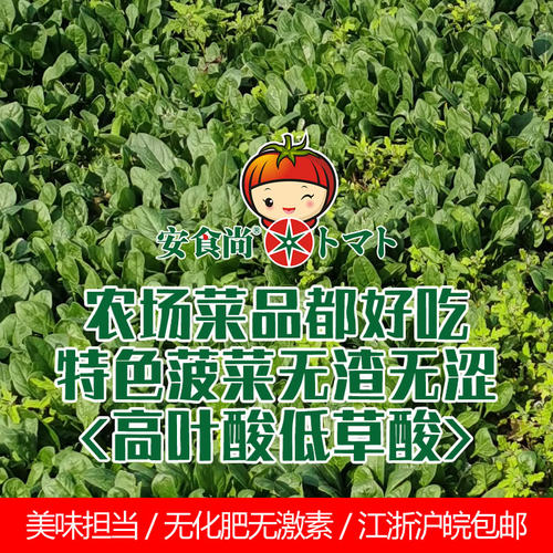 上海安食尚农场自产蔬菜宅配组合新鲜无激素产妇孕妇婴幼儿食用 - 图3