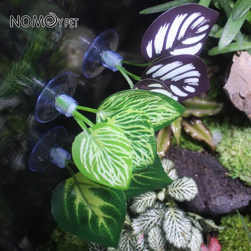 NOMO爬宠舔水仿真吸盘叶子喂水器变色龙蜥蜴树蛙饮水造景装饰叶片,淘宝优惠券,粉丝福利购,淘宝优惠卷