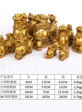 貔貅开过辟光邪摆件铸造铜镇家房屋宅办公室铜工艺品金钱貔貅一对